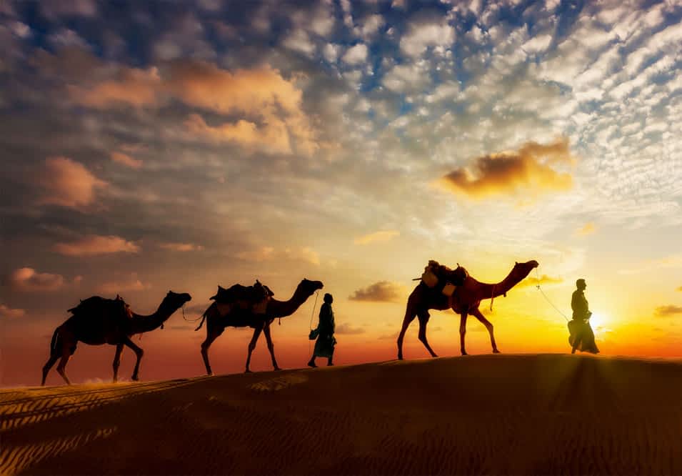 Arabic Iptv 1 ar_Desert-Voices-APTA-Part-01